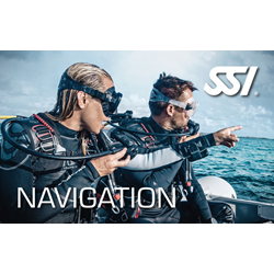 Ssi Navigation